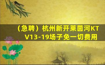 德州酒吧招聘